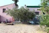 Villa traditionnelle et oliviers