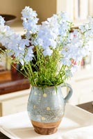 Fleurs bleues en pot à pois