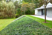 Maison contemporaine et jardin avec pelouse