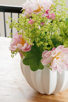 Fleurs de pivoines et Ladys Mantle dans un vase blanc