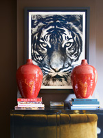Photo tigre et vases rouges