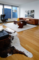 Salon moderne avec des meubles en cuir