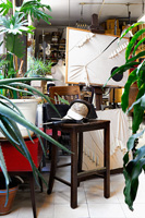 Studio avec plantes d'intérieur