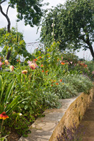 Bordures de jardin avec Dahlias et Heleniums