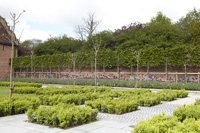 Jardin minimal avec des arbustes en lits carrés