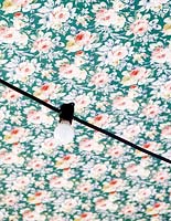 Papier peint floral au plafond