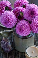 Fleurs de chrysanthème rose en pot en terre cuite