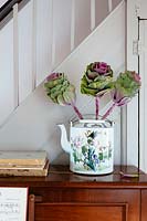 Feuillage de Brassica coloré dans une théière à motifs