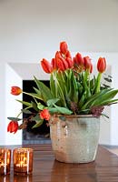 Tulipes rouges dans un récipient en terre cuite