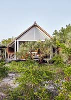 Maison de plage entourée de palmiers