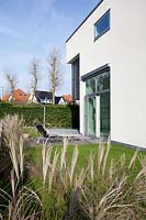 Maison contemporaine et jardin avec des herbes ornementales