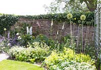 Bordure de jardin en été avec Alliums, Foxgloves et Delphiniums