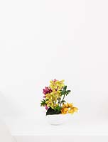 Orchidées dans un vase blanc