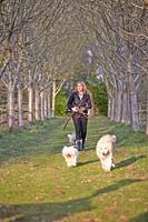 Femme promenant ses chiens