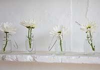 Fleurs blanches dans des bouteilles en verre