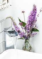 Fleurs de Buddleia et Verveine par lavabo de salle de bain