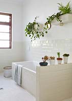 Salle de bain moderne avec plantes d'intérieur