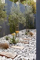 Jardin de la cour avec des plantes résistantes à la sécheresse
