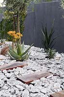 Jardin de la cour avec des plantes résistantes à la sécheresse