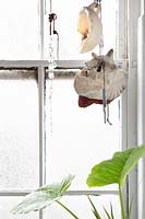 Coquilles suspendues à la fenêtre de la salle de bain