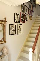 Affichage photo sur mur d'escalier