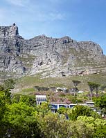 Vue sur la montagne, Cape Town, Afrique du Sud