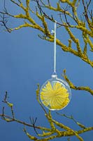 Boule transparente contenant des étoiles de laine suspendues à une branche recouverte de lichen
