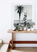 Plantes d'intérieur sur table console en bois