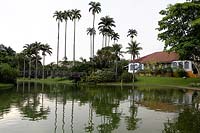 Jardin tropical avec lac