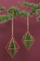 Prismes en cuivre contenant du feuillage de pin, suspendus à l'arbre de Noël