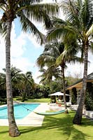 Jardin tropical avec palmiers et piscine