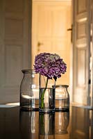 Fleur d'hortensia dans un vase en verre