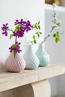 Fleurs dans des vases à motifs