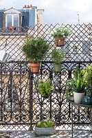 Plantes en pot sur balcon