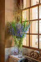 Grands vases en verre avec Delphiniums et feuillage d'herbe Stipa gigantea