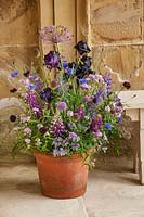 Pot avec lupins, Allium cristophii, Allium spheracephalon, Iris barbu et Candytuft fleurs