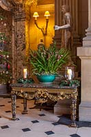 Décorations de Noël et orchidée en pot dans la grande salle, Castle Howard