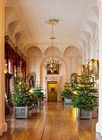 Arbres de Noël dans des bacs versailles dans la longue galerie, Castle Howard