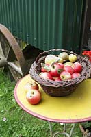 Panier de pommes sur table de jardin