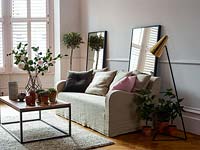 Salon moderne avec plantes d'intérieur