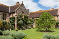 La cour extérieure avec des rosiers grimpants, un topiaire et un mûrier - Cothay Manor