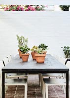 Plantes en pot sur table de jardin