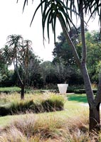 Jardin avec arbres tropicaux