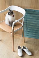 Chat assis sur un fauteuil moderne