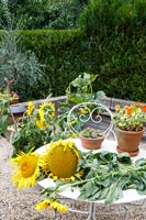 Bouquet de tournesols sur table de jardin
