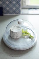 Morceau de fromage sous dôme de verre