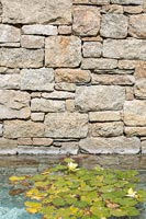 Mur de pierre et piscine avec nénuphars