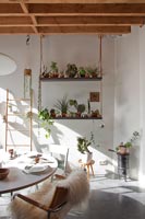 Salle à manger moderne avec présentoir de plantes d'intérieur