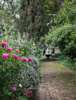 Bordures de jardin avec des roses