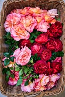 Panier de fleurs roses
